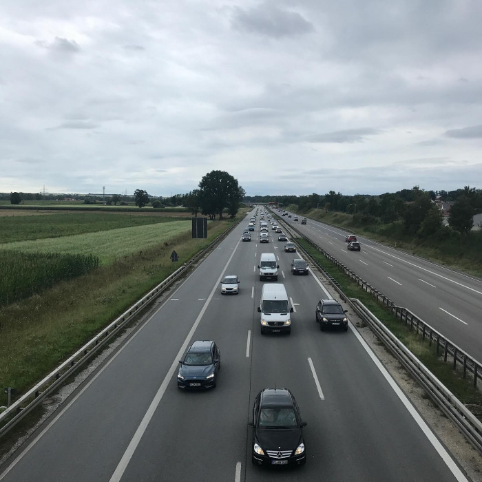 Fr&uuml;h am Morgen guckt noch kurz die Sonne durch. Aber die Sonnenblumen und das Rotwild lassen schon d