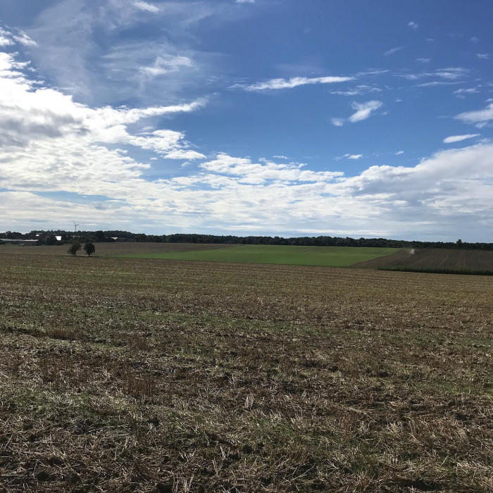 Soweit ich wei&szlig; gibt es noch keinen offiziellen Radweg von Hohenlohe nach M&uuml;nchen. Zeit wird's. Also