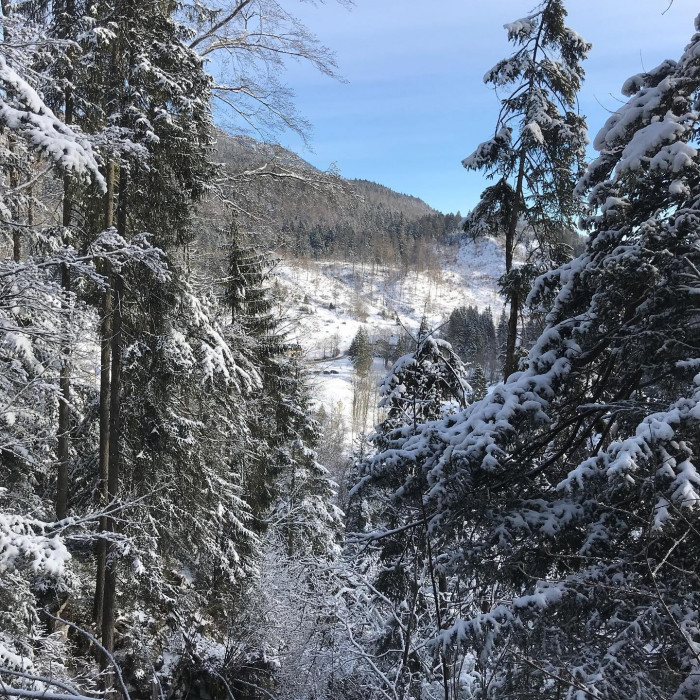 Kurz mal nach dem Schnee geschaut.