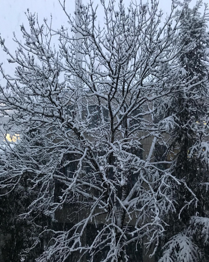 Wenn ich dem Schnee beim runterfallen zuschaue, denke ich manchmal an meinen Prof, der mitten in der