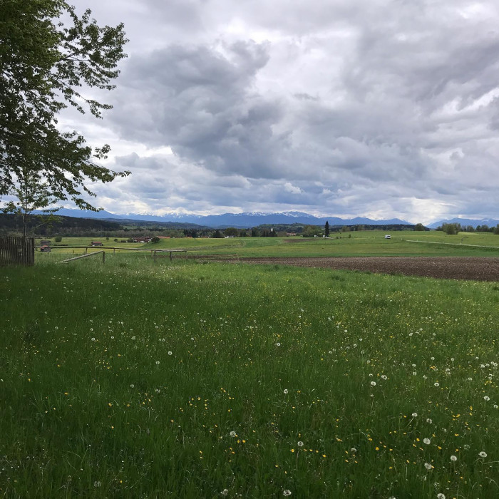 Erste Ausfahrt 2021. Es gibt einen frisch asphaltierten Radweg durch den Perlacher Forst. 🚲