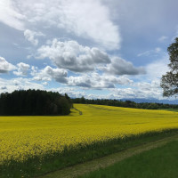 Erste Ausfahrt 2021. Es gibt einen frisch asphaltierten Radweg durch den Perlacher Forst. 🚲