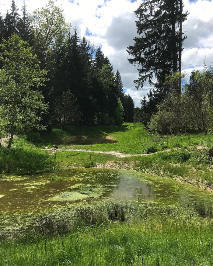 Kurz vor Freising ist der Weltwald. So ein Waldlehrpfad extended. Man l&auml;uft durch &bdquo;Asien&ldquo;, &bdquo;Europa&ldquo;