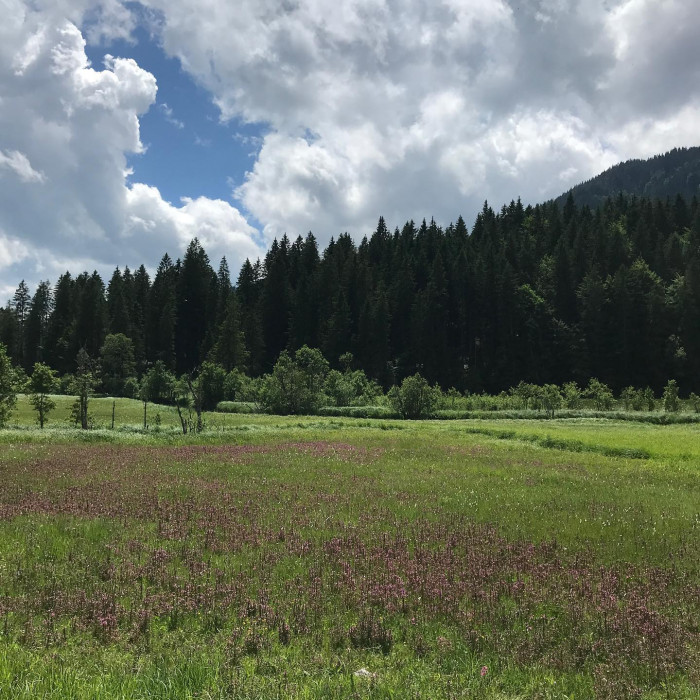 Mit der S-Bahn nach Holzkirchen. Dann Schliersee, Spitzingsee und Tegernsee. Voll sch&ouml;ne Runde.