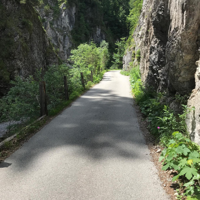 Mit der S-Bahn nach Holzkirchen. Dann Schliersee, Spitzingsee und Tegernsee. Voll sch&ouml;ne Runde.