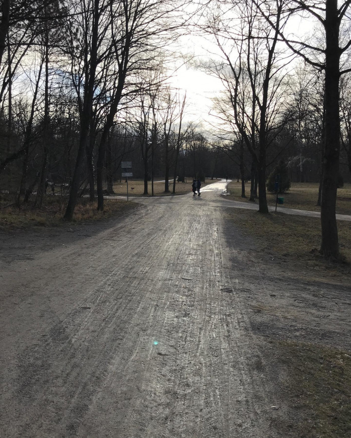 Spaziergang auf die gute Art. Hab einen Baum fotografiert und hab fotografiert, wie @ivoheckmann den