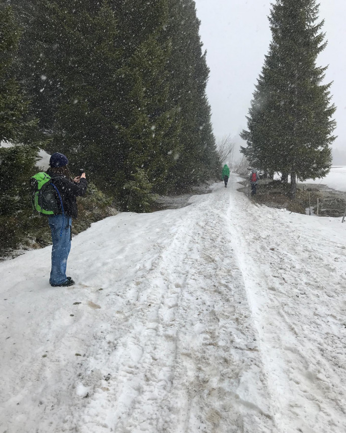 Vom Wanderparkplatz kurz vor Sachrang geht&lsquo;s am Samstag bei Schneefall 700 Meter hoch bis zur Priene