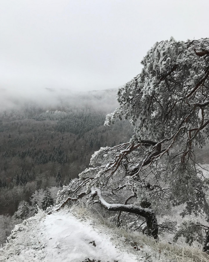 Am Albtrauf entlang.