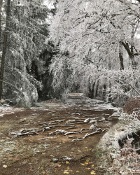 Am Albtrauf entlang.