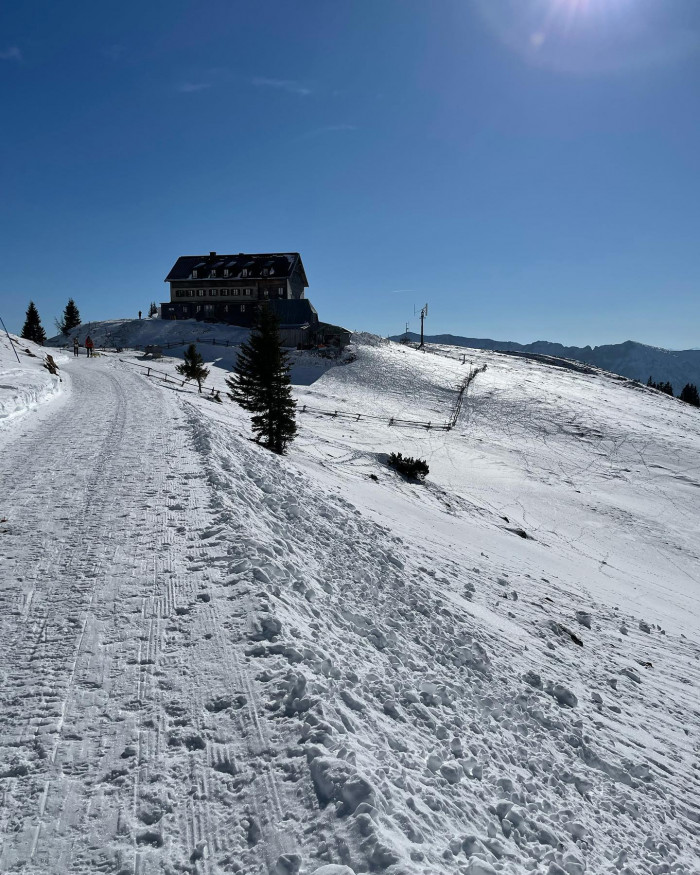 Hi, ich bin die Hauskatze vom Rotwandhaus.