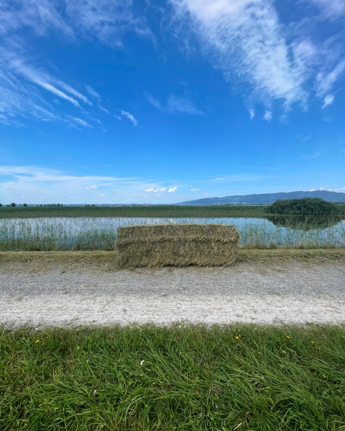 An einem Tag um den Bodensee 🚴☀️