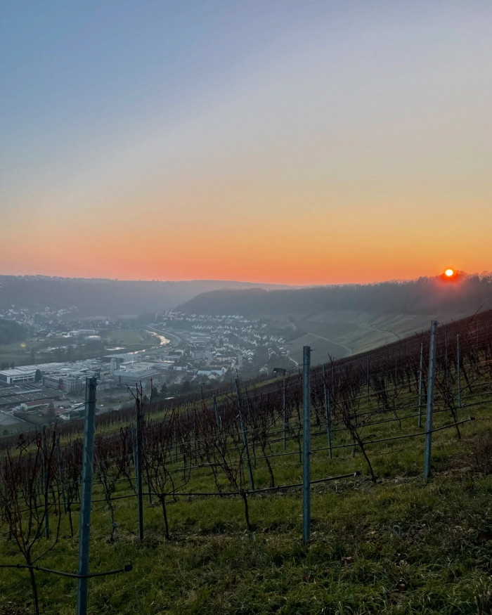 🌅🏃&zwj;♀️🏃🏼